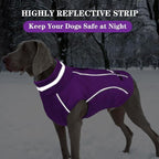 Doglay Dog Winter Coat, Waterproof Dog Jacket with Pocket, Reflective Turtleneck Pet Winter Jackets, Warm Puppy Snow Jacket for Small Medium Large Dogs