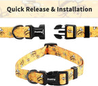 Ihoming Dog Collar and Leash Set for Daily Outdoor Walking Running Training, Bee Design for Large Boys Girls Dogs Cats Pets, L-Up to 80LBS