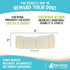 Raw Paws Rolled Beef Cheek Rolls for Dogs - 6 inch (25 Pack) - Packed in USA - Rawhide Alternative Dog Chews - Free-Range Retriever Treat - Water Buffalo Cow Cheek Rolls for Small Dogs to Large Breeds