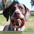 Redbarn Pet Products All-Natural 4" Bully Stick Rings for Dogs - Premium Grain-Free & Rawhide-Free Single Ingredient Long Lasting Low Odor Dental Treat for Chewers - 3 Count