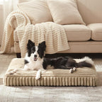 Dog Bed Medium Size Dog, Flat Pet Beds with Removable Washable Cover, Pet Mat Cute Crate Bed Thick Shredded Chopped Crate Foam & Anti Slip Bottom for Indoor, 29"x21"x3" Beige