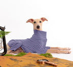 Dog Sweaters for Small Dogs Girls Boys, Striped Pet Sweaters for Fall Winter Dog Clothes, Turtleneck Pullover Knitwear for Small Medium Large Dogs