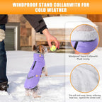 iBuddy Dog Winter Coats with Fleece Vest,Waterproof Warm Dog Snow Jacket Windproof, Reflective Adjustable Pet Dogs Cold Winter Coat for Dogs Girl Boy