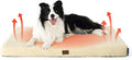 Bedsure Self Warming Dog Beds Large Sized Dog - Comfy Puppy Beds with Removable Washable Cover, Orthopedic Egg Crate Foam Pet Mat, Suitable for Pet Up to 65 lbs