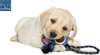Dog Rope Toy with Tennis Ball, Nylon Rope with Balls, Fun Tug of War Toy for Dogs, Tough Dog Toy for Aggressive Chewers, Eskimo, Terrier, Beagle & More (3 Set Rope Dog Toy Red Ball)