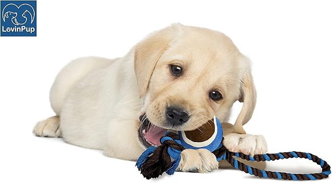 Dog Rope Toy with Tennis Ball, Nylon Ropes with Balls, Fun Tug of War Toys for Dogs, Tough Pet Toy for Aggressive Chewers, Eskimo, Terrier, Beagle and More(1 Rope Dog Toy Blue Ball FBA)