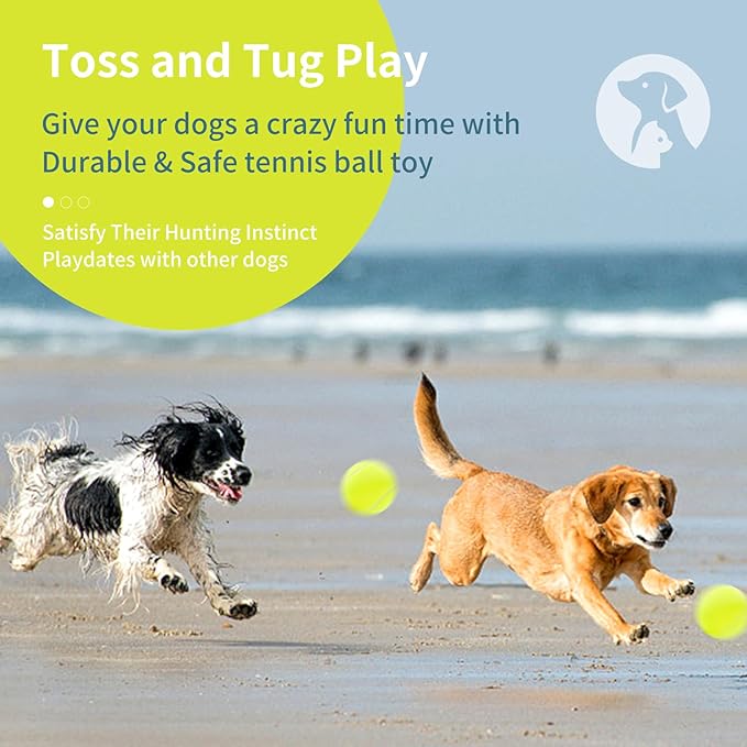 susu & wuwu Large Tennis Ball for Dogs 4 Inch Big Tennis Ball for Dog,Outdoor Play Toy for Small, Medium,Large Dogs Pet Birthday Gift (2 Pack)