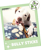 Nature Gnaws Bully Sticks for Dogs 5-6" (1Lb) - Mixed Thickness - Long Lasting for Aggressive Chewers and Large Dogs - Natural Beef Dog Chew Bones