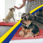 Muddy Mat® AS-SEEN-ON-TV Highly Absorbent Microfiber Door Mat and Pet Rug, Non Slip Thick Washable Area and Bath Mat Soft Chenille for Kitchen Bathroom Bedroom Indoor and Outdoor - Red 24" x 120"