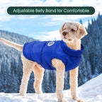 Kuoser Dog Coat Warm Dog Puffer Jacket, Windproof Dogs Padded Vest Lightweight Cold Weather Coats Pet Snowsuit Soft Puppy Winter Clothes for Large Dogs, Button Design, Easy On/Off, Blue XL