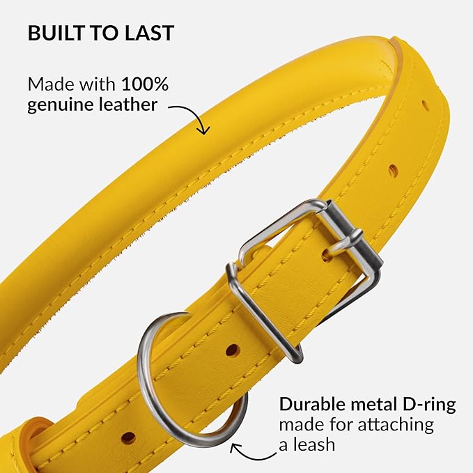 CollarDirect Rolled Leather Dog Collar, Soft Padded Round Puppy Collar, Handmade Genuine Leather Collar Dog Small Large Cat Collars 13 Colors (8-11 Inch, Yellow Smooth)