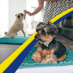 Muddy Mat® Shown on TV – Super Absorbent Door Mat Indoor, Microfiber Quick Dry Chenille Entryway Rug, Non-Slip Front Door Mat, Indoor Mats for Entryway, Machine Washable Pet Rug, Teal 36"x60"
