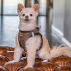 Best Pet Supplies - All Weather Mesh/Plush, Reflective, No Pull Harness for Small, Medium Dogs, Cats - Secure with Hook & Loop Fastener, Buckle, Double D-Rings - Chocolate Suede, M