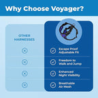 Voyager Escape Proof Cat Harness and Leash Set with Reflective Stitching, Neoprene Handle 5ft - Supports Small, Medium and Large Cats, Kittens for Walking by Best Pet Supplies - BT-Royal Blue, XXS