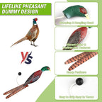 Archerest Dead Duck Dove Pheasant Dummy Bumper Toys for Waterfowl Hunting Retriever Dog Training, Floating Mallard Dummy Trainer Outdoor Soft Durable Realistic Fowl