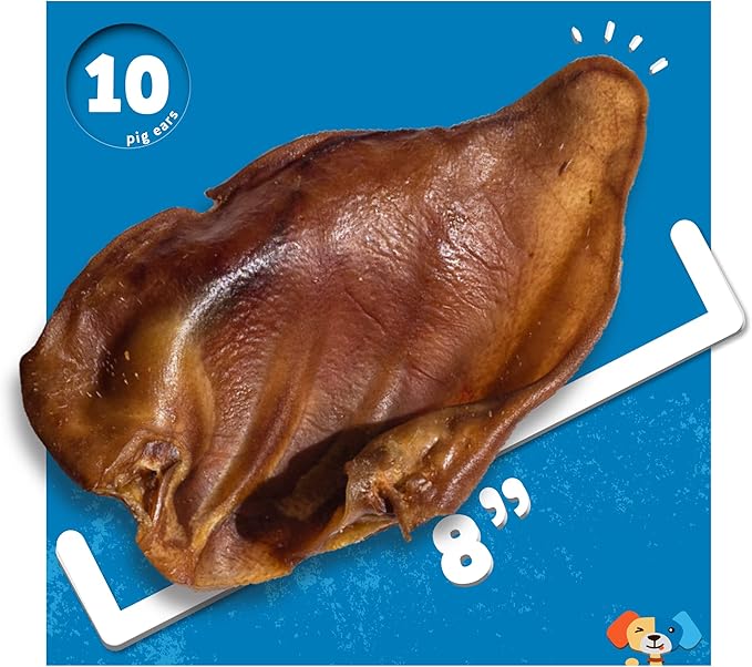 Jack&Pup Natural Whole Pig Ears for Dogs Large, Pigs Ears for Dogs - Premium Dog Ear Treat - Dog Chew Treats for Large and Small Breeds (10 Pack)