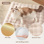 Cat Beds for Indoor Cats Faux Fur Pet Pad Mat Plush Kitten Bed with Non-Slip Bottom for Carriers/Couch Dog & Puppy Friendly 35 x 27 Inch X-Large White