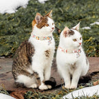 ARING PET 2 Pack Cat Collars-Cute Breakaway Cat Collar with Bell & Pendant, Adjustable Floral Pattern Female Kitten Collars with Safety Buckle for Girl and Boy Cats