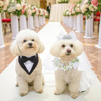 SCENEREAL Dog Bandanas Dress Set for Small Dogs, Dogs Wedding Outfit with Flower Collar Veil, Puppy Party Supplies Pet Tutu Skirt Costume