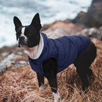 Fleece Hoodie, Windproof Waterproof Coat, Winter Warm Jacket, Cold Weather Pet Apparel Clothes Vest for Small Medium Large Dogs (XS, Blue)