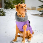 PETDSH Dog Coat Large, Windproof Dog Jacket with Warm Fleece Lining, Thickened Collar Dogs Winter Coat, Adjustable Reflective Pet Coats for Cold Weather (Purple, XX-Large)