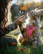 FAYOGOO Cat Harness, Cat Leash and Harness Set for Walking Escape Proof, Harness for Small Cats/Small Dogs, Large Kitten/Puppy Harness and Leash, Harness for Cats S-XXL(Pink, X-Large)