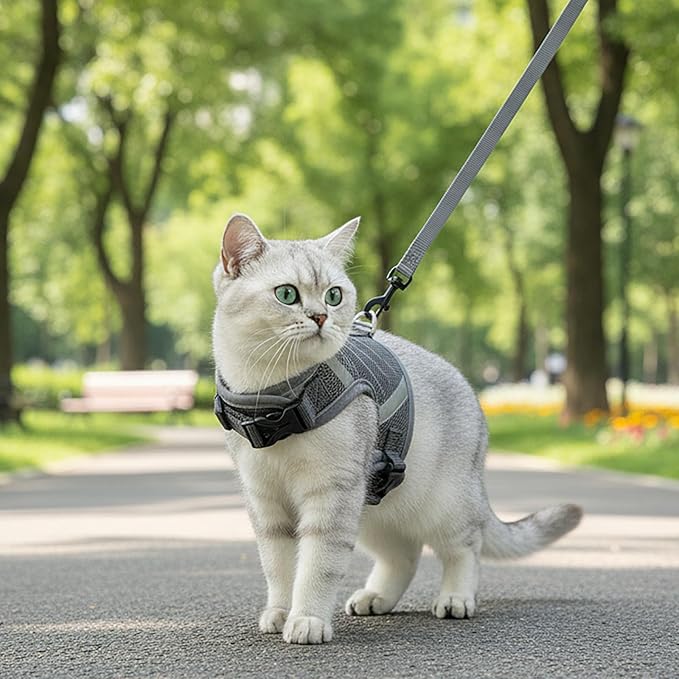 Cat Harness and Leash Escape Proof Kitten Harness Cat Leash for Walking Travel Service Cat Vest, Grey, XX-Large