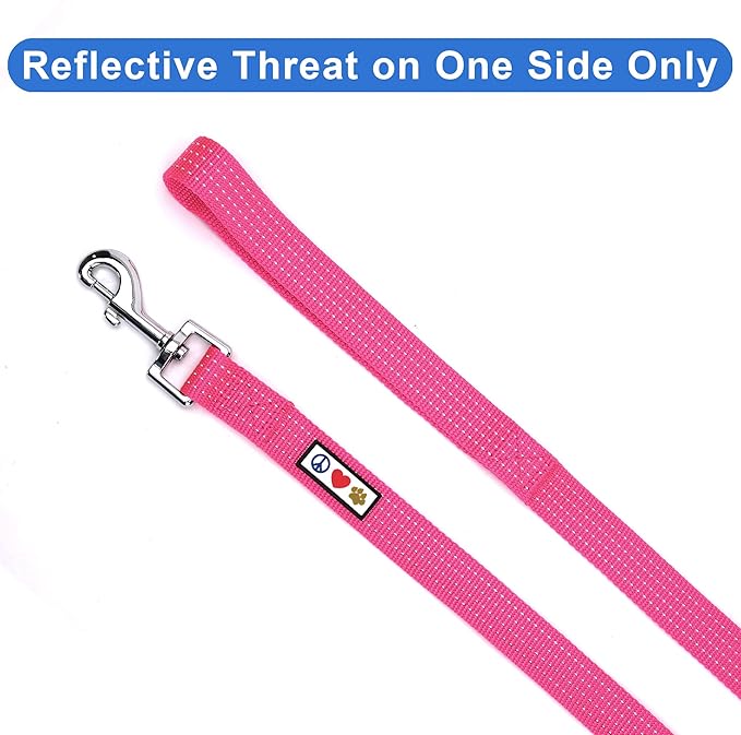 Pawtitas 6 FT Dog Leash - Comfortable Handle, Highly Reflective Threads, Heavy Duty Training Leash (Medium 6 FT)