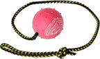 Dingo Nubby Dog Ball - Fully Rubber-Filled, with 60 cm Long Rope - Suitable for Fetching, Dog Sports, Agility, Playtime - Medium Size - Random Colour