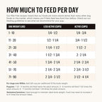 The Honest Kitchen Whole Food Clusters Grain Free Chicken Dry Dog Food, 1 lb Trial Pouch (Pack of 2)