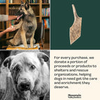 Mountain Valley Moose Antlers for Dogs - 100% Natural & Organic Chew for Aggressive Chewers, No Odor, No Mess, Long Lasting - Wild-Foraged Naturally Shed Antlers in USA - Grade A, Whole Large (1 Pack)