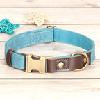Didog Soft PU Leather Dog Collars for Medium Dogs,Classic Adjustable Dog Collars with Quick Release Metal Buckle,Easy Clean and Comfortable with Nylon Lining,Light Blue,M Neck 13-19"