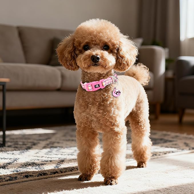 Small Dog Collar with Bell - Reflective Nylon Dog Collar for Small Breeds, Adjustable XXS/XS Tiny Chihuahua Pomeranian Yorkie Collar for Night Walks & Indoor Play（Daisy S）