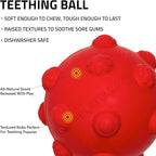Playology Dog Toys | Puppy Toy Teething Ball Designed for Young & Active Dogs | Medium Beef Scented Toy Made from Non Toxic Materials