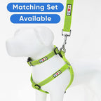 Pawtitas 6 FT Pet Puppy Leash Reflective Dog Leash Comfortable Handle Highly Reflective Threads Heavy Duty Dog Training Leash Available as a 6 ft Medium Dog Leash or Large Dog Leash Green