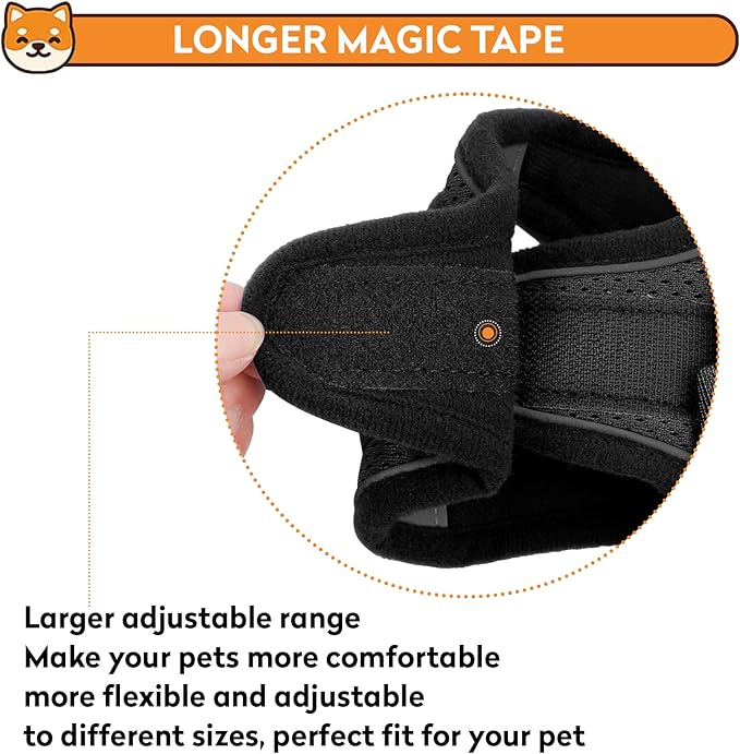 Dog Harness with Leash Set, No-Pull Step-in Reflective Pet Harness with 1 Leash Clips, Adjustable Soft Padded Easy Walk Dog Vest for Small Medium Large Dogs, Cats(Carbon Black, Large)