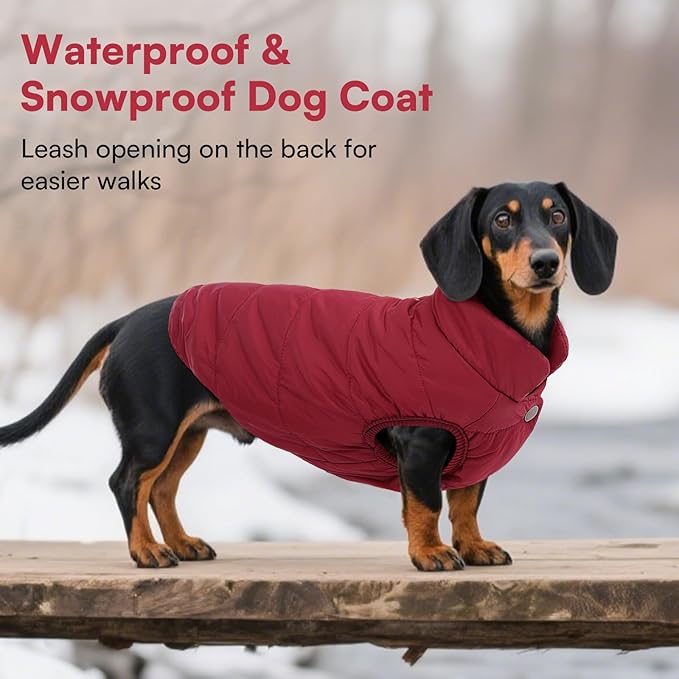 ASENKU Dog Winter Coat - Waterproof Windproof Dog Jacket, Warm Snowproof Doggie Puffer Vest for Cold Weather, Lightweight Snow Coats for Small Medium Large Dogs（XS, Red