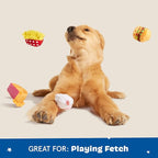 Barkbox Dine & Dash Dog Toy Bundle – Squeaky Dog Toys – Plush Dog Toys – Puppy and Pet Toys for Small Dogs