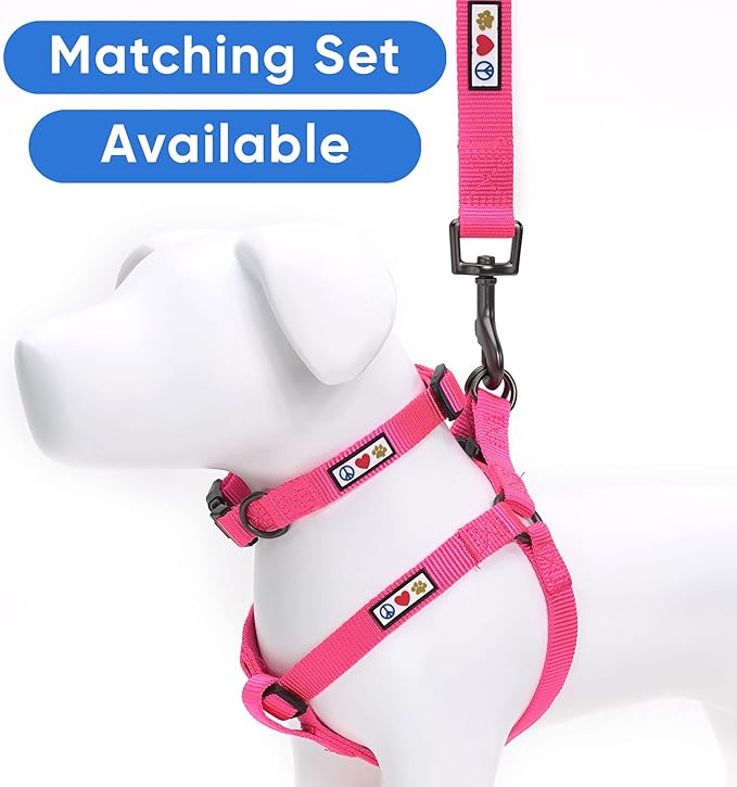 Pawtitas Solid Puppy Leash - 6 ft Behavioral Dog Leash for Miniature Dogs & Cats, Available in Extra Small & Medium/Large