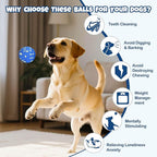 petizer 6 Pack 2.5’’ Dog Balls, Tough Dog Toys for Aggressive Chewers, Interactive Ball for Fetch Game, Lightweight Floating Toy, Durable Bouncy High Elasticity E-TPU Teething Chew Toys