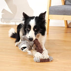 Tug of War Dog Toy, Durable Large Breed Dog Toy, Though Stuffed Dog Squeaky Toy with Crinkle Paper for Small, Middle and Big Dogs(Raccoon)