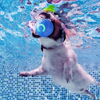 Moving Dog Ball, 2026 New 2Pcs Automatic Vibrating Dog Ball Toy, Smart Bouncing Shaky Balls Toy for Dogs, Interactive Jumping Dogs Balls That Moves on Its Own for Small Dogs (Mix)