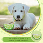 Dogs Poop Bags Holder Leash attachment with Carabiner Thin Potty Bag Carrier Dispenser,Lime,Medium