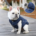 Fleece Hoodie, Windproof Waterproof Coat, Winter Warm Jacket, Cold Weather Pet Apparel Clothes Vest for Small Medium Large Dogs (S, Blue)