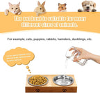 5 PCS Stainless Steel Cat Bowl-Shallow Wide Flat Cats Food Bowls,Metal Kitten Dishes Whisker Friendly Fatigue Relief,Replacement Basic Kitty Plates for Elevated Stand,Dishwasher Safe…