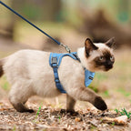 Cat Harness, Cat Car Harness and Leash for Walking, Escape Proof Soft Adjustable Vest Harnesses for Cats, Easy Control Breathable Reflective Strips Harness, Kitten Harness and Leash Set, Blue, M