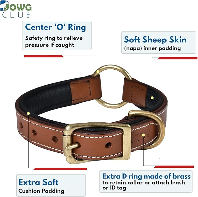 | Genuine Leather Adventure Dog Collar | Full Grain, Heavy Duty | With inner Cushioned padding | Best for Medium, Large & XL Dog (Medium (Fit Neck Size 14.5"-18.5"), Brown With Center O Ring)