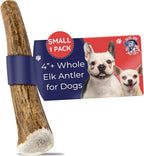 Devil Dog Pet Co. Elk Antlers for Dogs, Small 4"+, 1 Pack, Grade A Long Lasting Chew for Aggressive Chewers, Premium USA Naturally Shed Antler – Healthy, No Odor, Durable Dog Chew