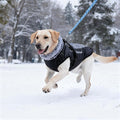 Dog Coat for Medium Large Dogs,Waterproof Reflective Dog Winter Jacket with Harness, Fleece Snowsuit,Warm Pet Winter Coat(Reflective blue-2XL)