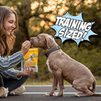 Chippin Fish Jerky Natural Dog Training Treats | Made in USA, Grain-Free, Hypoallergenic & Human-Grade Protein | Puppies & Senior Dogs | Low Fat (4-Pack, Wild-Caught Fish)